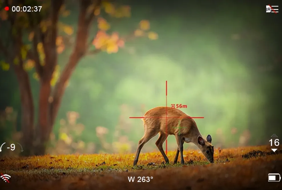 Thermal Imagers And Night Vision Devices