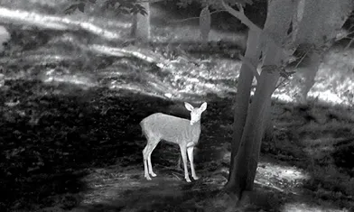 Monocular Thermal Night Vision Riflescope Outdoor Hunting Telescope Infrared Thermal Imager With Rangefinder