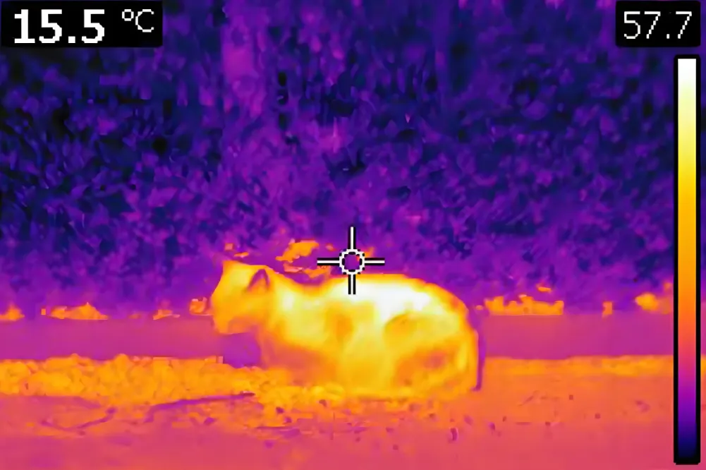 Infrared Thermal Imagers Are The Guardians Of Power Equipment Infrared Thermal Imagers Are The Guardians Of Power Equipment