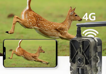 WIFI version infrared selfie camera for capturing wild animals in the wild for biodiversity surveys